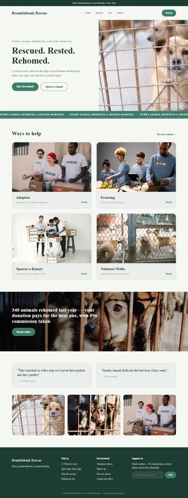 Bramblebank Rescue - a coded charity & non-profit website concept by Graeyna